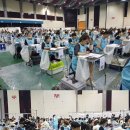 웨스트민스터포항애견미용학원