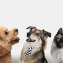 365 마음동물병원 이미지