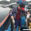 섬마을민박낚시 이미지