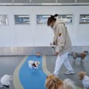 도그유토피아 더펜트 이미지