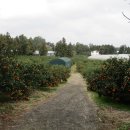 표선면-4 이미지