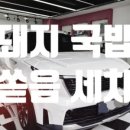 돼지카세차장 이미지