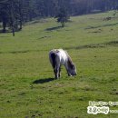 금악리 경로당 이미지