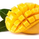 세광전자 이미지