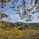 국립서울현충원 이미지