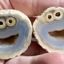 몬스터쿠키 이미지