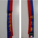 용인대 한신 태권도 이미지