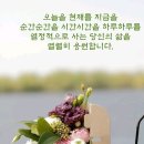 오늘도소담 이미지