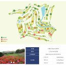 중원CC 가기 전 필수 정보! 코스 분석 + 근처 맛집까지 완벽 정리 | 충주퍼블릭 골프장 200% 즐기기
