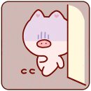 씨에스타 이미지