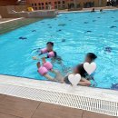 부영김밥 이미지