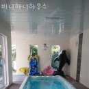 비니하니하우스 이미지