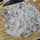 풍어회센타