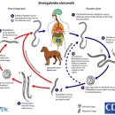 1번약국 이미지