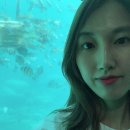 섬타는산오징어 | 울릉도 1박2일 여행기 :) 태풍 때문에 배 시간이 당겨졌음 ㅠㅠ