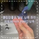 피토페시아S