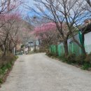 화순읍사무소 입구 이미지