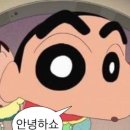 센터서클 | 250419 울산HDFC 10라운드 강원전 센터서클 후기