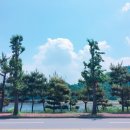 은천칡냉면 이미지