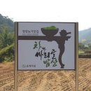 온직다원 이미지