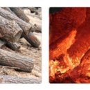 전하울국화황토숯불가마 이미지