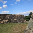 순천-48호 이미지