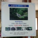 내설악송어횟집 네이버블로그