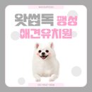 팽성유치원 이미지