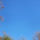 라온태양광발전소 이미지