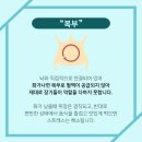 청아피부체형관리실