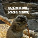 5575 | 부산 실내데이트 라라쥬 동물원 아이랑 방문 후기