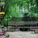 별빛소나타 이미지