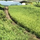 대지2리경로당 이미지