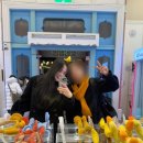 야옹이발바닥 | [일상] 11월 평일 에버랜드 방문후기 겨울에버랜드 추천! 에버랜드꿀팁