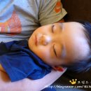 한우의명가선우 | [제주여행 ②] 롯데호텔 키즈랜드,테디베어 박물관 ,퍼시픽랜드