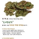 지리산한방식품 이미지