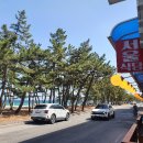 돌고래횟집 이미지