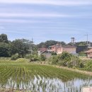 부여..공주..그리고 연잎밥 솔내음..웨이팅?