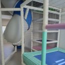 하루키즈풀빌라 이미지