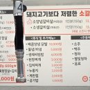 우산초교길 이미지