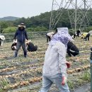 정읍시청 이미지