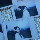 한아름도서관 이미지