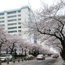 (주)대창식품 이미지