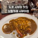 도쿄카레 | 시부야맛집 상등카레 시부야 본점 내돈내산 방문 후기 도쿄 카레맛집