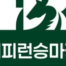 해피런