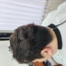 모드림위그