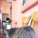 다랭이918 이미지