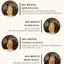 셀아로마 - 광주시 광주대로 30 | 셀아로마