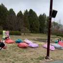 더드림푸드 | 인천 서구 벚꽃 명소 드림파크 야생화단지 반려견과 봄나들이 후기