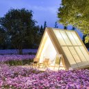 정원에 머물다 이미지